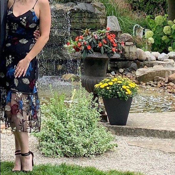 Jack by Bb Dakota Black dress with sheer embroidered overlay - Picture 1 of 3